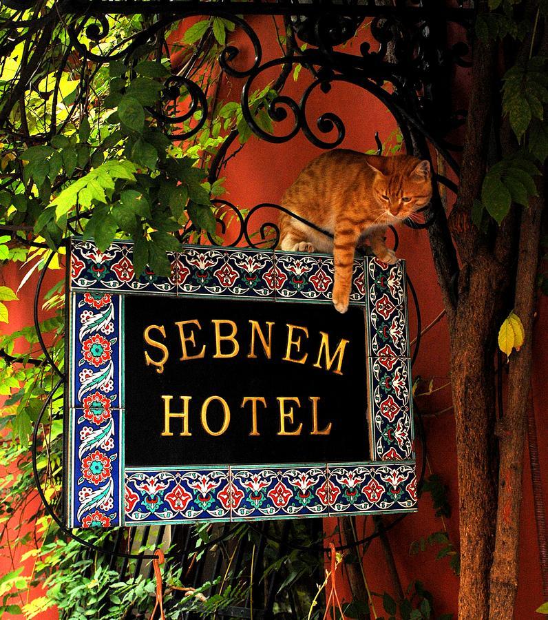 赛布乃木酒店 伊斯坦布尔 外观 照片